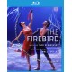 Igor Stravinsky - Firebird - Blu-ray