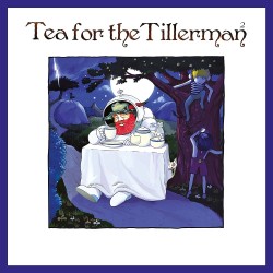 Cat Stevens - Tea For The Tillerman 2 - CD Digisleeve