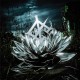 We Came As Romans - Darkbloom - Coloured Vinyl LP