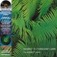 Edgar Froese - Epsilon In Malaysian Pale - Gatefold RSD Special Edition Coloured Vinyl LP