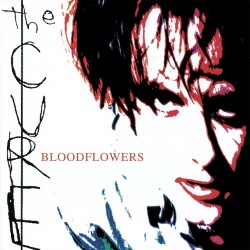 Cure - Bloodflowers - CD