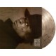Miles Davis - Decoy - 180g HQ Limited Edition Gatefold Coloured Vinyl LP