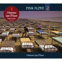 Pink Floyd - A Momentary Lapse of Reason - CD Digisleeve