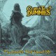 Crash Test Dummies - Ghosts That Haunt Me - CD