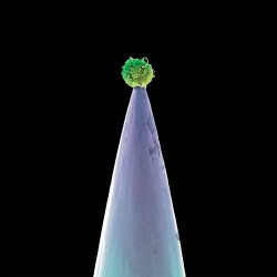 Peter Gabriel - New Blood - CD