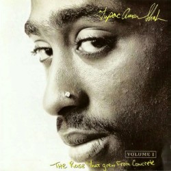 2Pac - Rose That Grew From Concrete Volume 1 - CD