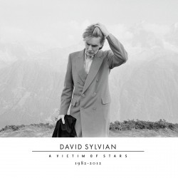David Sylvian - A Victim Of Stars 1982-2012 - 2CD