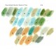 Dave Holland Quintet - Seeds Of Time - CD Vinyl Replica