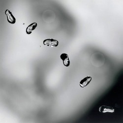 Peter Gabriel - Up - CD