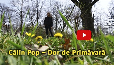 Dor de primavara &ndash; Călin Pop
